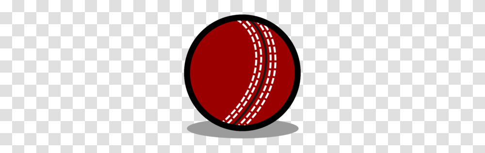 Cricket, Sport, Ball, Frisbee, Toy Transparent Png