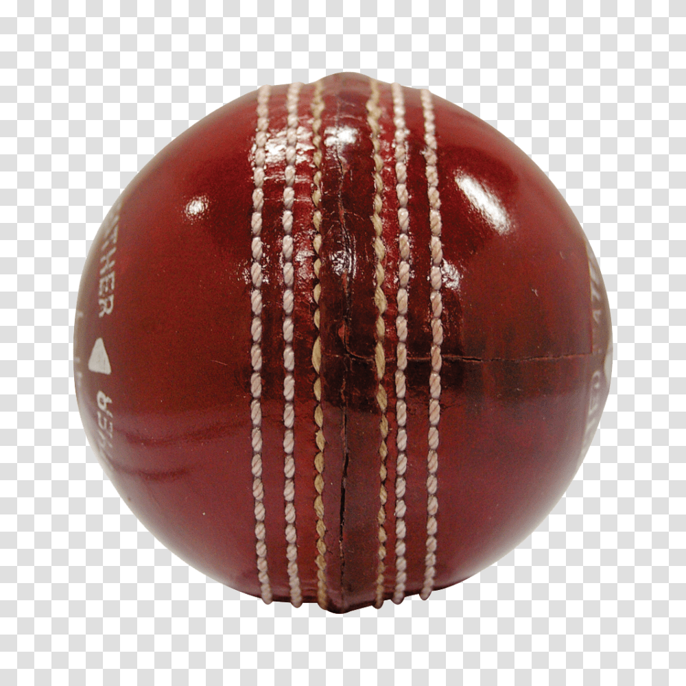 Cricket, Sport, Ball, Sphere, Fungus Transparent Png