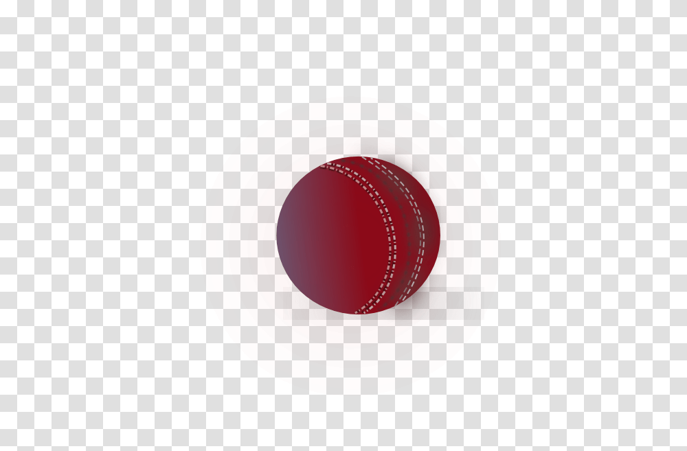 Cricket, Sport, Frisbee, Toy, Rug Transparent Png