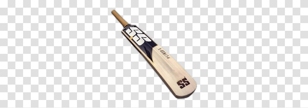 Cricket, Sport, Person, Human, People Transparent Png