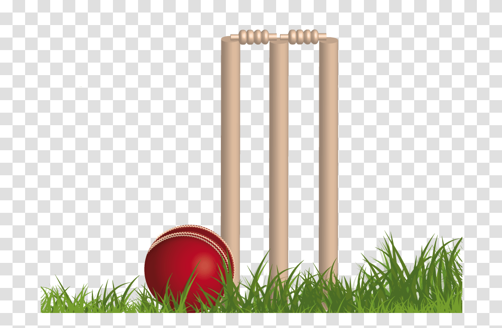 Cricket, Sport, Sports, Croquet, Ball Transparent Png