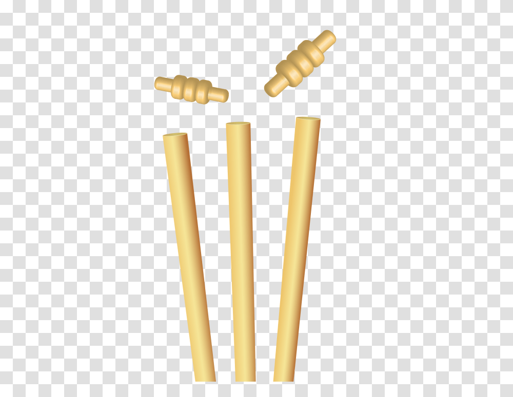 Cricket, Sport, Sports, Croquet Transparent Png