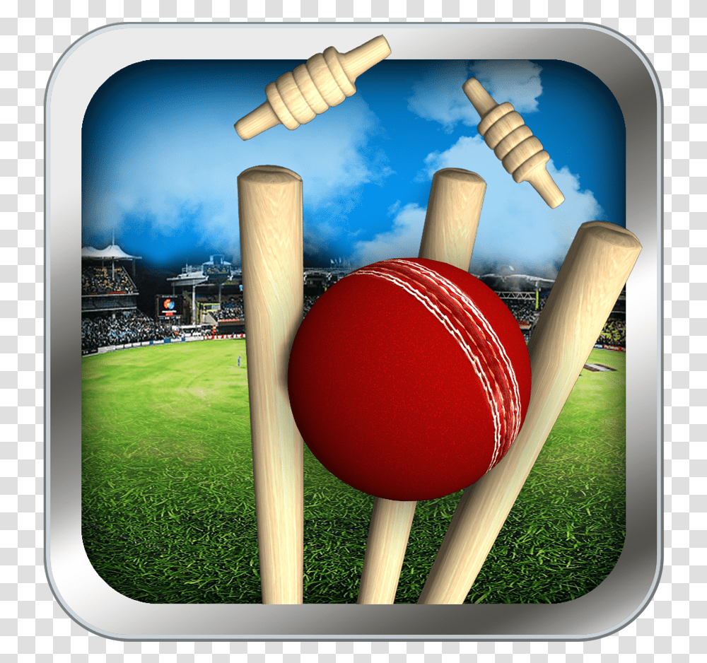 Cricket Video Game, Sport, Sports, Sphere, Croquet Transparent Png