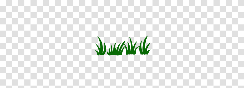 Cricut Album, Logo, Plant Transparent Png