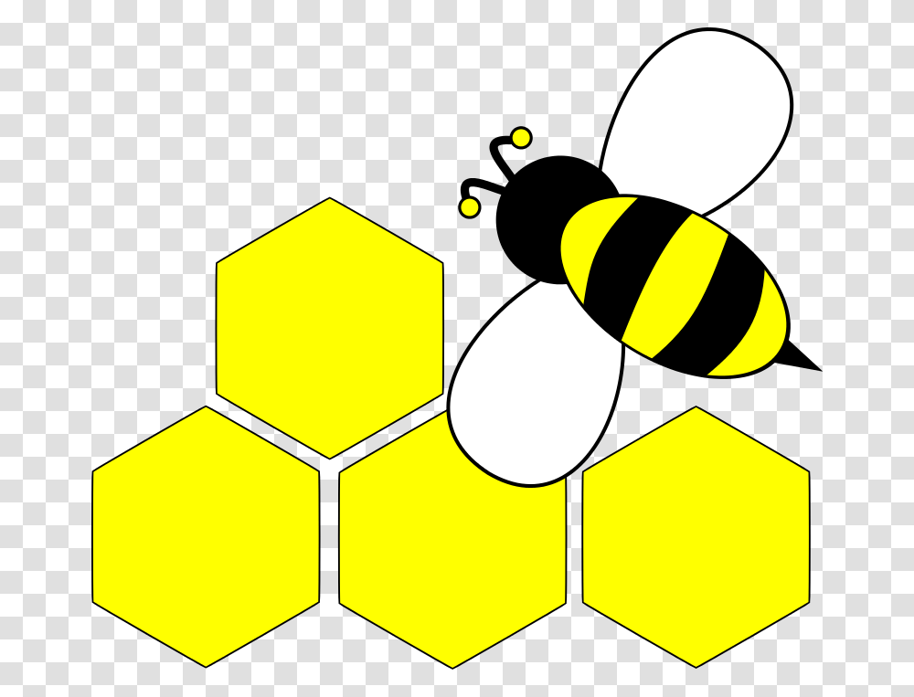 Cricut Bee, Lighting, Ball, Sport Transparent Png