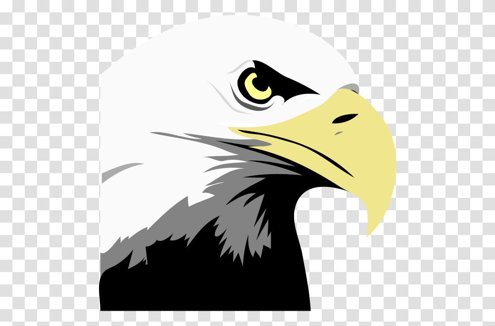Cricut Images Clip Art, Eagle, Bird, Animal, Bald Eagle Transparent Png