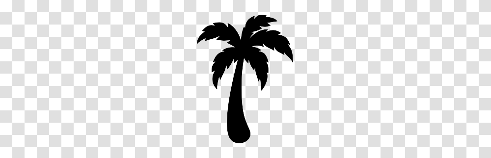 Cricut Palm Tree, Stencil, Silhouette, Plant, Arecaceae Transparent Png