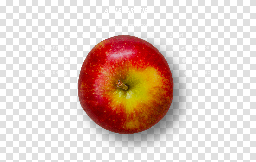 Crisp Mcintosh, Apple, Fruit, Plant, Food Transparent Png