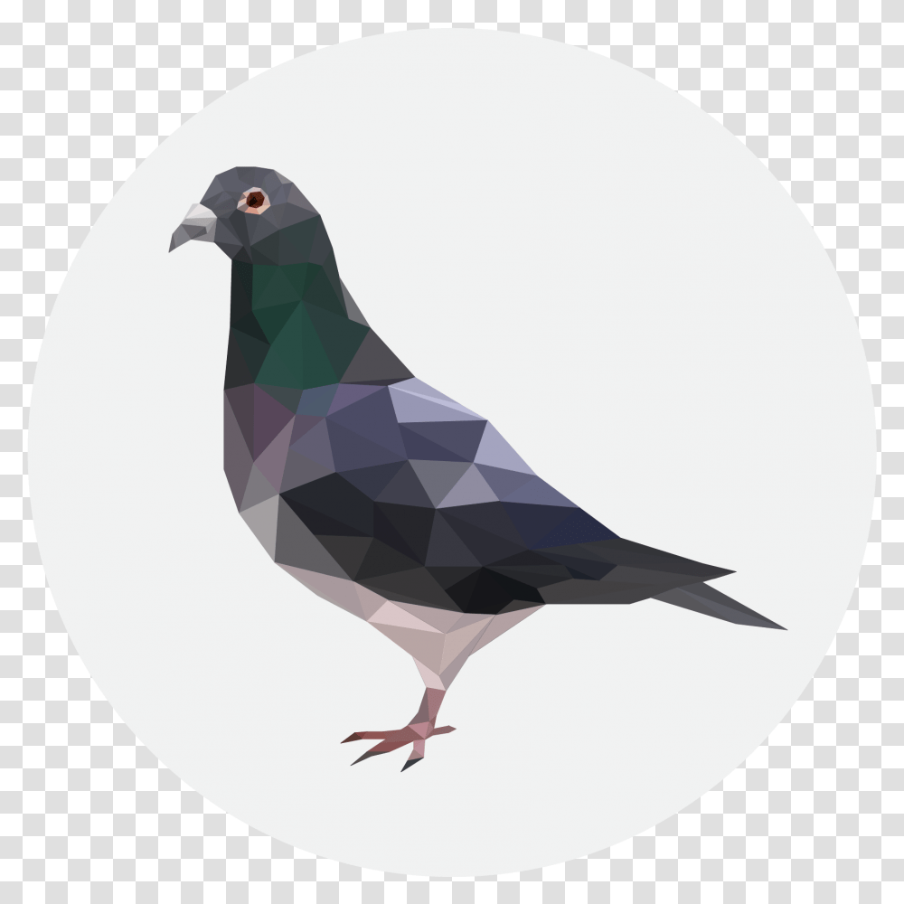 Critical Role Metagaming Pigeon Download Cool Background Pigeon, Animal, Bird, Dove, Balloon Transparent Png
