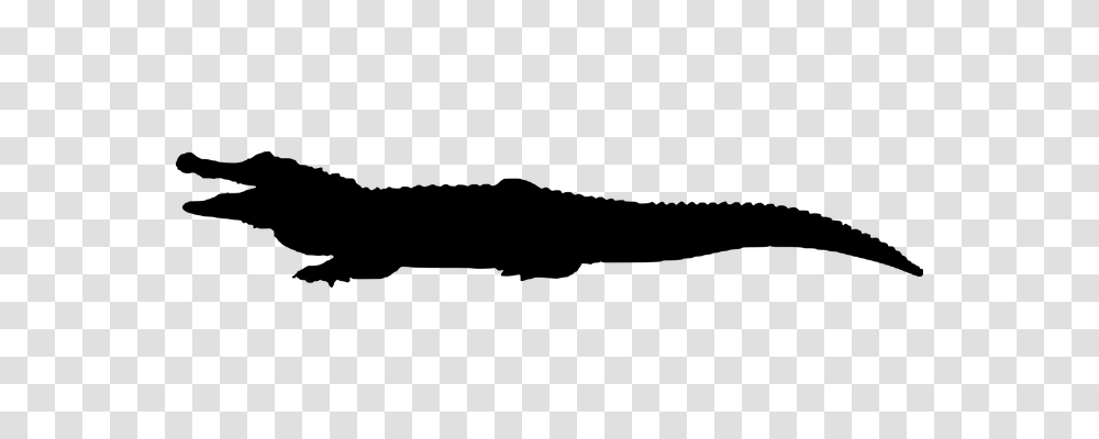 Crocodile Animals, Gray, World Of Warcraft Transparent Png