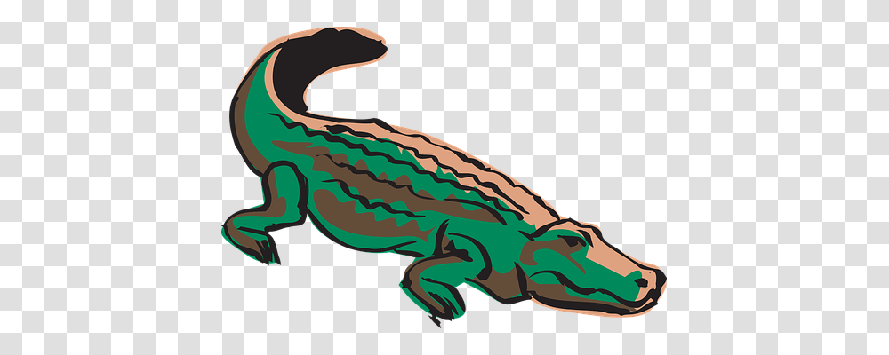 Crocodile Animals, Reptile, Alligator Transparent Png