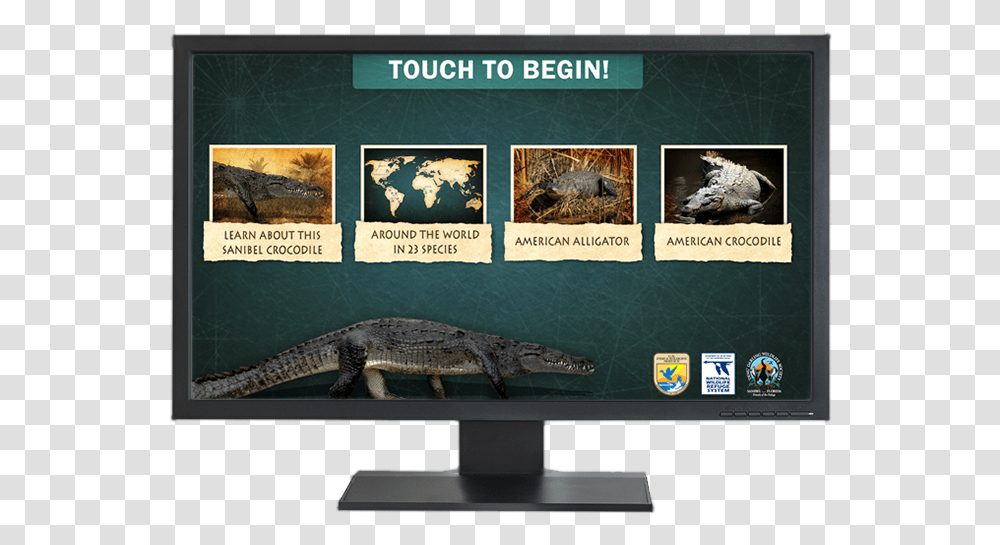 Crocodile, Animal, Lizard, Reptile, Monitor Transparent Png