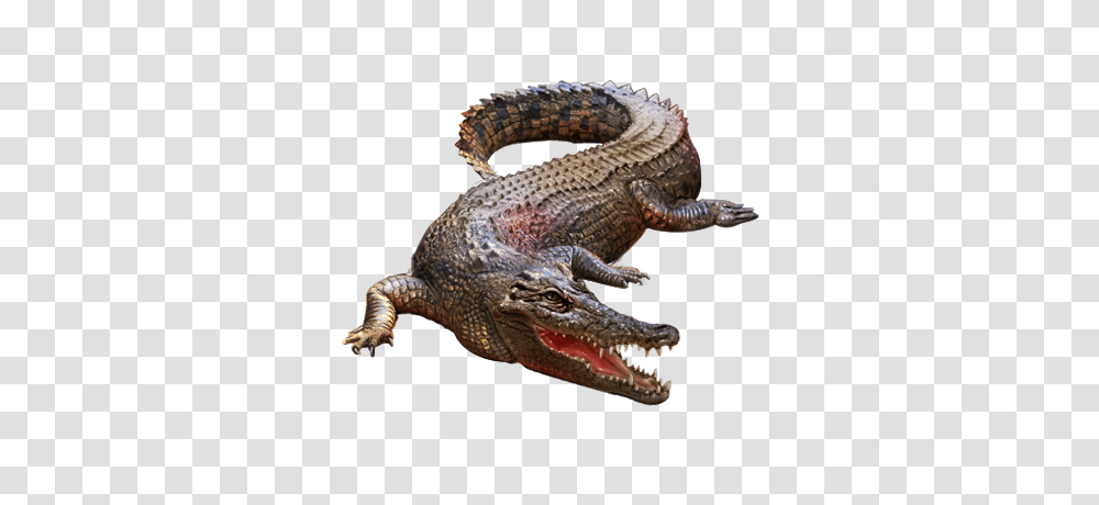Crocodile, Animals, Dinosaur, Reptile, Alligator Transparent Png