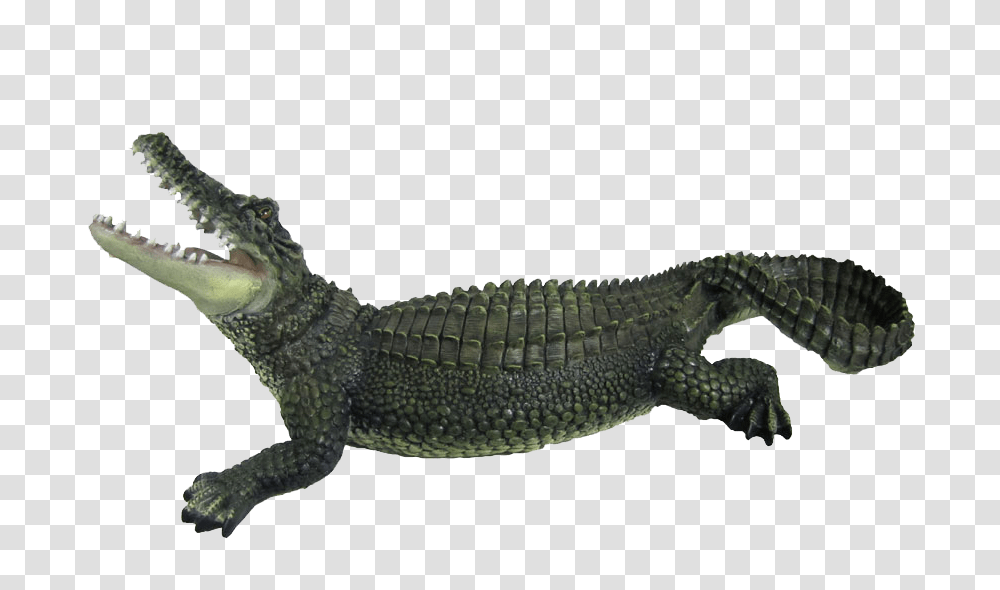 Crocodile, Animals, Lizard, Reptile, Alligator Transparent Png