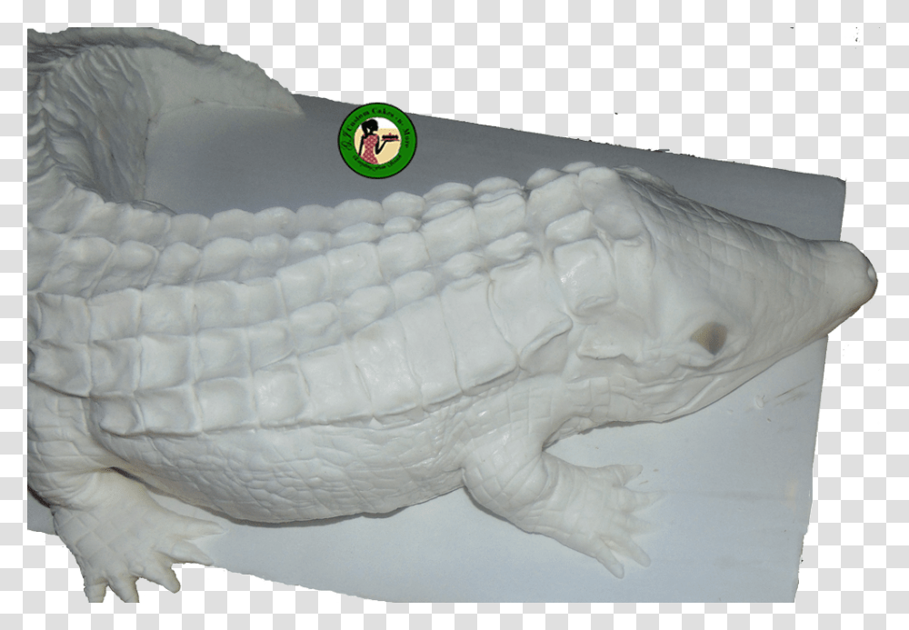 Crocodile Cake White Nile Crocodile, Bird, Animal, Teeth, Mouth Transparent Png