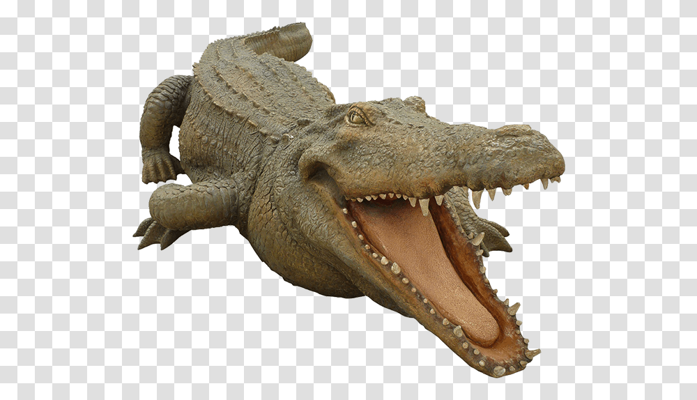 Crocodile Freepngtransparentbackgroundimagesfree Crocodile Background, Reptile, Animal, Alligator, Dinosaur Transparent Png