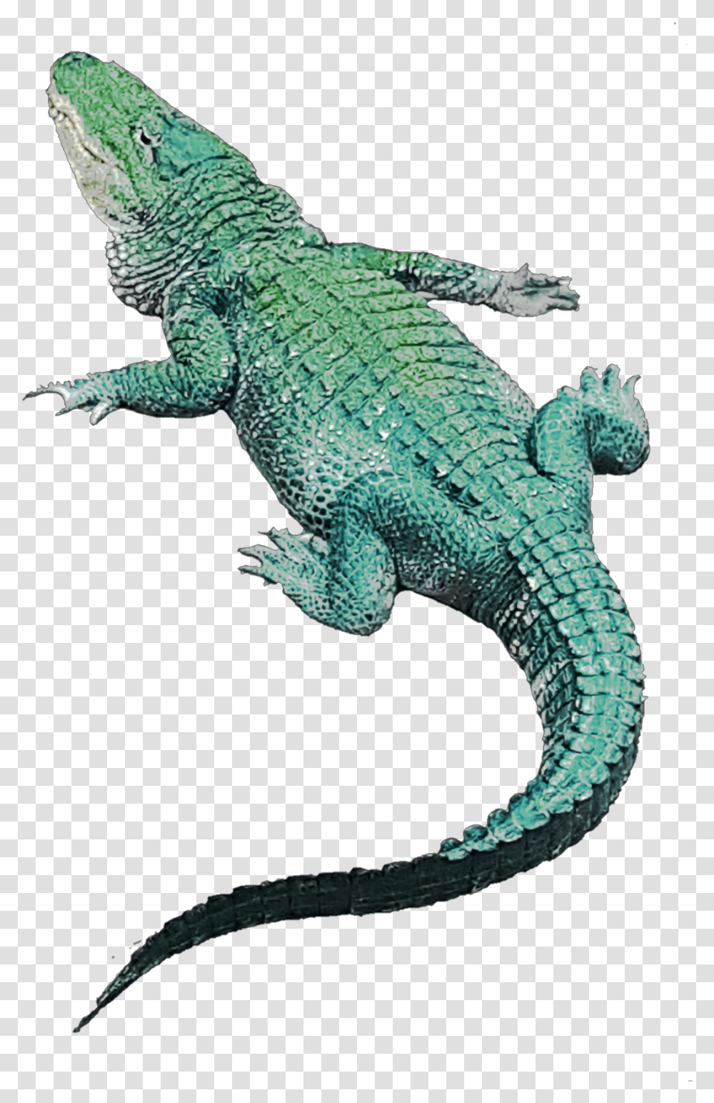 Crocodile Green Greenaestetic Green Iguana, Lizard, Reptile, Animal, Alligator Transparent Png