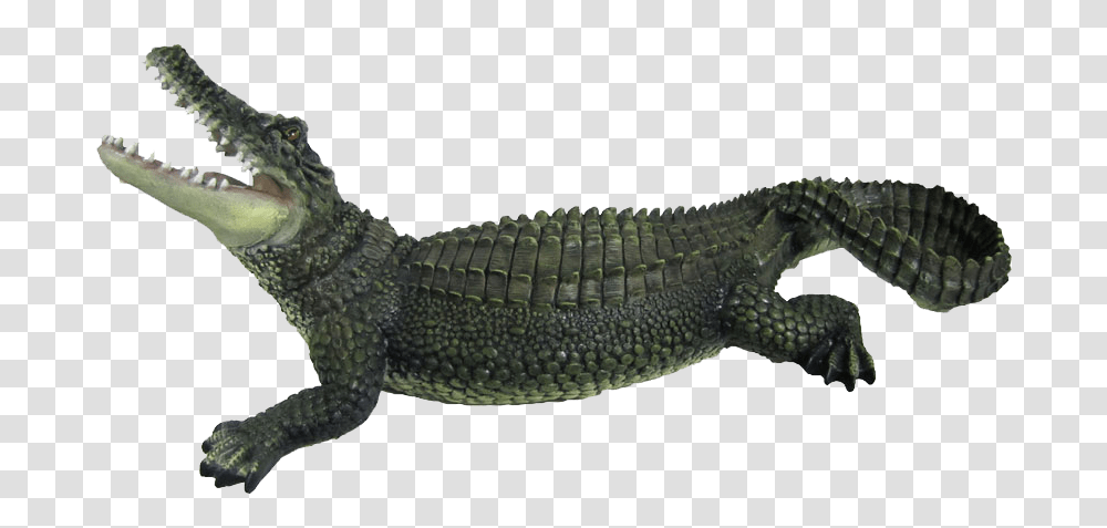 Crocodile Images Are Free To Crocodile, Lizard, Reptile, Animal, Alligator Transparent Png