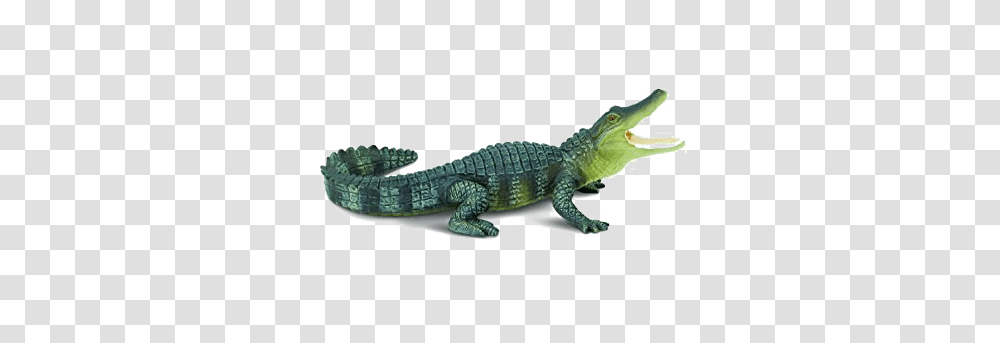 Crocodile Images Pictures Photos Arts, Lizard, Reptile, Animal, Alligator Transparent Png