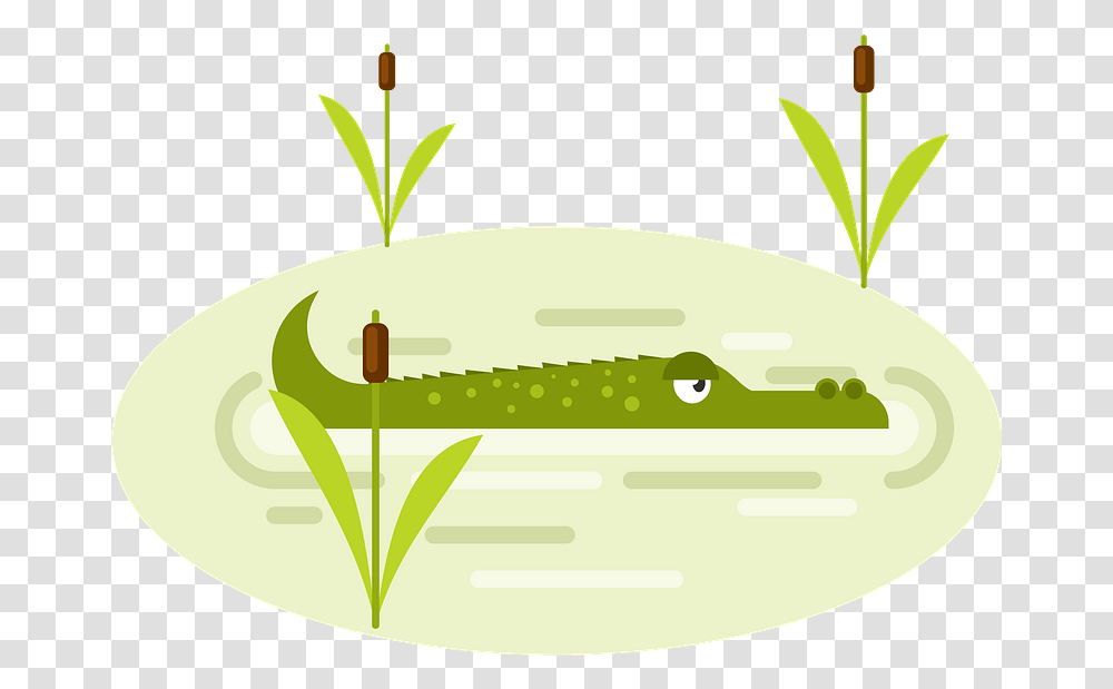 Crocodile In Water Clipart Free Download Illustration, Plant, Green, Animal, Amphibian Transparent Png