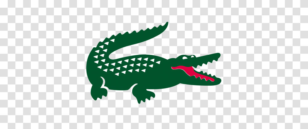 Crocodile, Reptile, Animal, Alligator, Fish Transparent Png