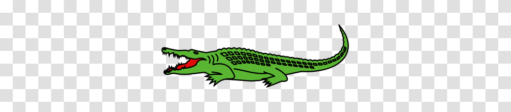 Crocodile, Reptile, Animal, Alligator, Lizard Transparent Png