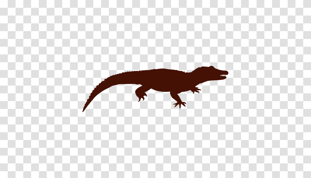 Crocodile Silhouette, Gecko, Lizard, Reptile, Animal Transparent Png