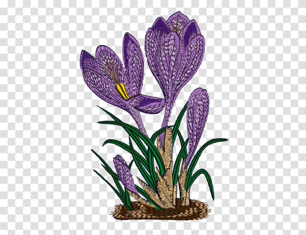 Crocus Clipart Download Spring Crocus, Iris, Flower, Plant, Blossom Transparent Png