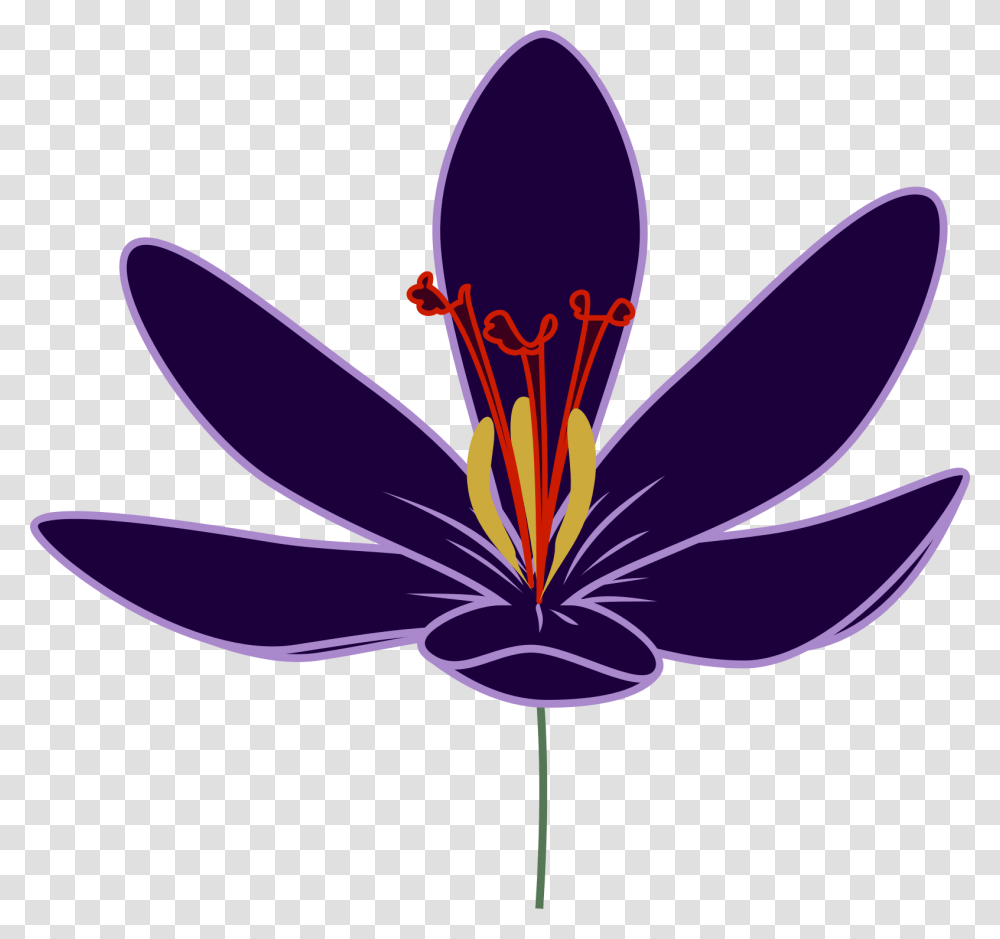 Crocus Clipart May Flower, Plant, Blossom, Anther, Petal Transparent Png