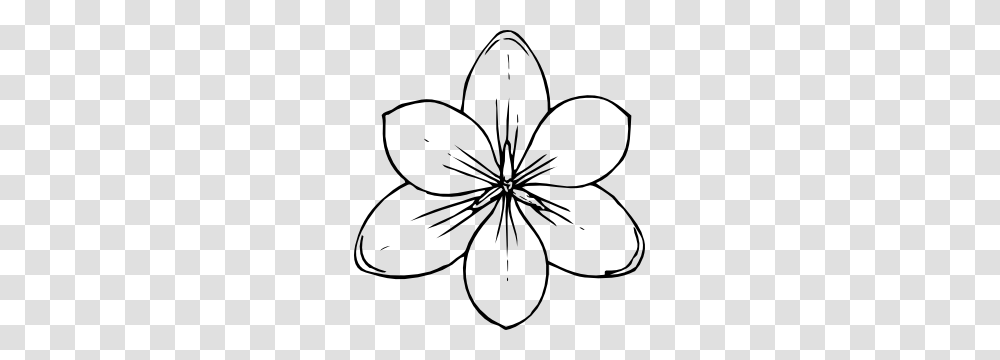 Crocus Flower Top View Clip Art, Plant, Petal, Blossom, Spider Transparent Png