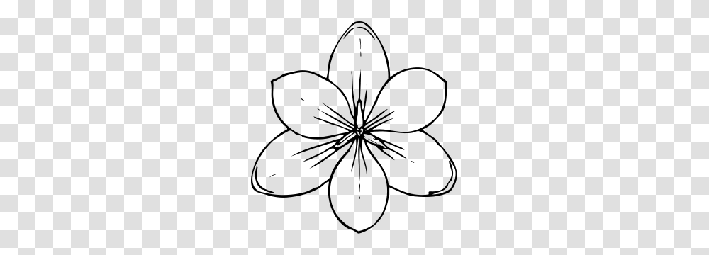 Crocus Flower Top View Clip Arts For Web, Gray, World Of Warcraft Transparent Png