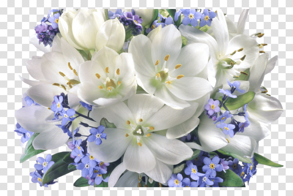 Crocuses Clipart Jasmine Flower Bouquet, Plant, Pollen, Flower Arrangement, Anther Transparent Png