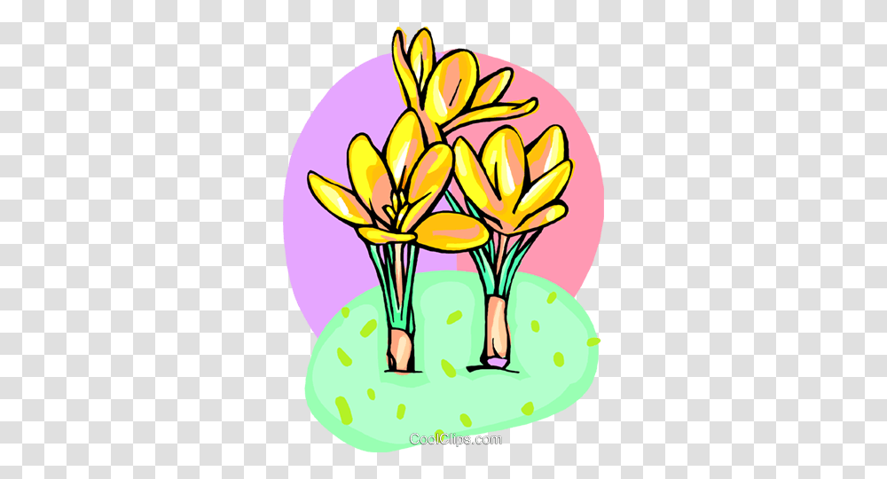 Crocuss Royalty Free Vector Clip Art Illustration, Plant, Flower, Blossom, Egg Transparent Png