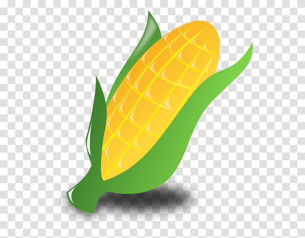 Crop Clipart Vector Clip Art Images, Plant, Corn, Vegetable, Food Transparent Png