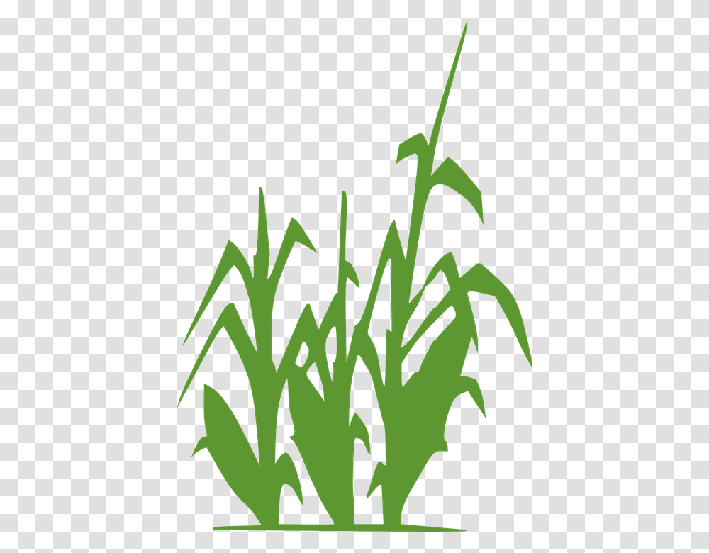 Crop Clipart Vector Clip Art Images, Plant, Potted Plant, Vase, Jar Transparent Png