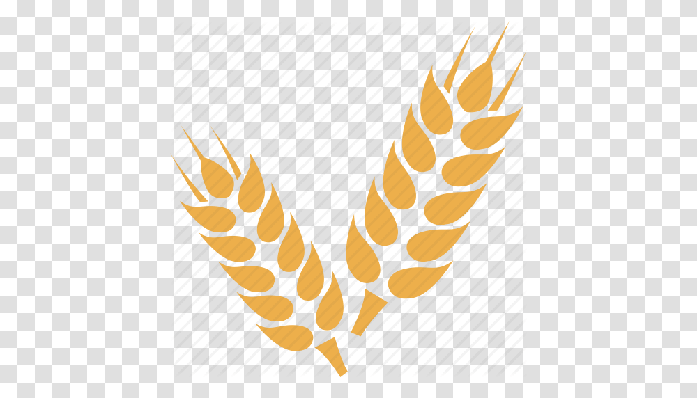 Crop Grain Wheat Wheat Crop Wheat Gran, Plant, Vegetable, Food, Produce Transparent Png