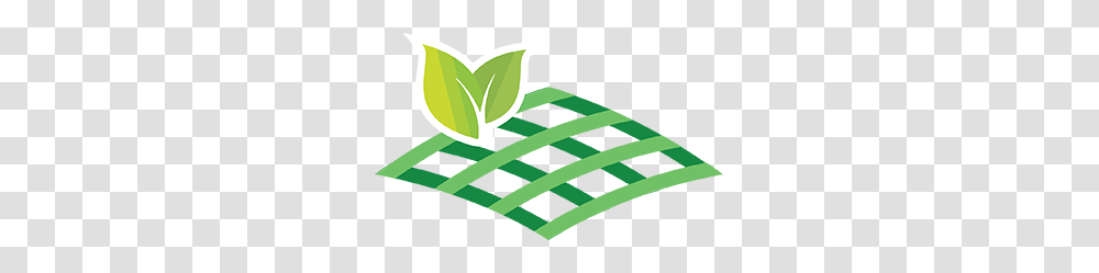 Crop One Holdings Growing A Better Tomorrow, Green, Pattern, Plant Transparent Png