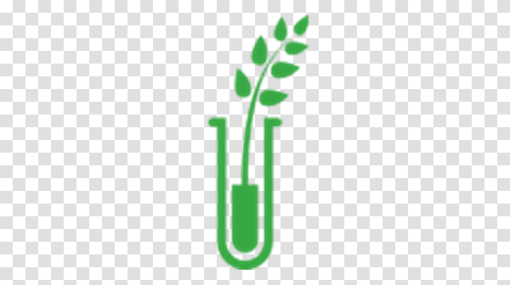 Crop Stability, Cross, Plant, Green Transparent Png