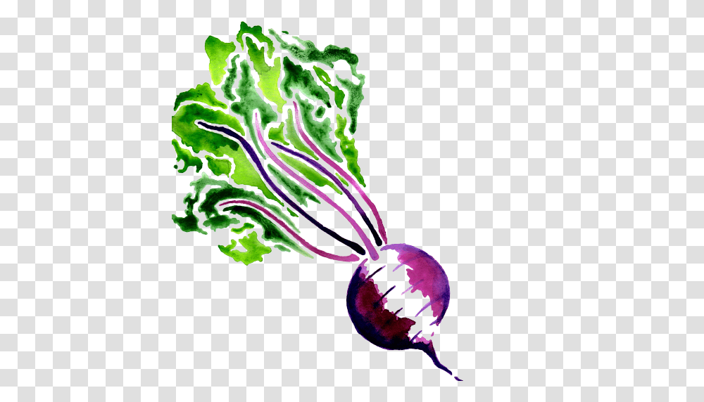 Cropped Beet Cloud Caterers, Plant, Vegetable, Food, Turnip Transparent Png