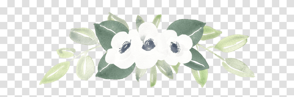 Cropped Bengal Clockvine, Plant, Flower, Rug, Leaf Transparent Png