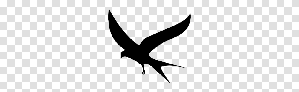 Cropped Bird, Gray, World Of Warcraft Transparent Png