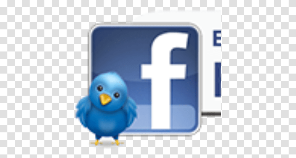 Cropped Birdparadisefacebookbuttonpng Exotic Bird Become A Fan On Facebook, Text, Animal, Network, Credit Card Transparent Png