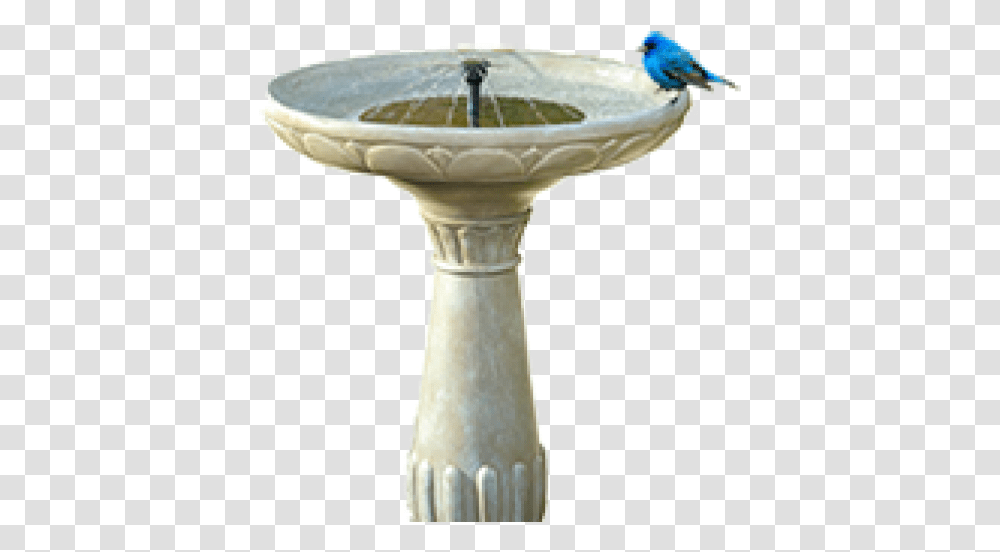 Cropped Birdpng - Home Owner's Association Bird Bath, Water, Fountain, Animal, Jay Transparent Png