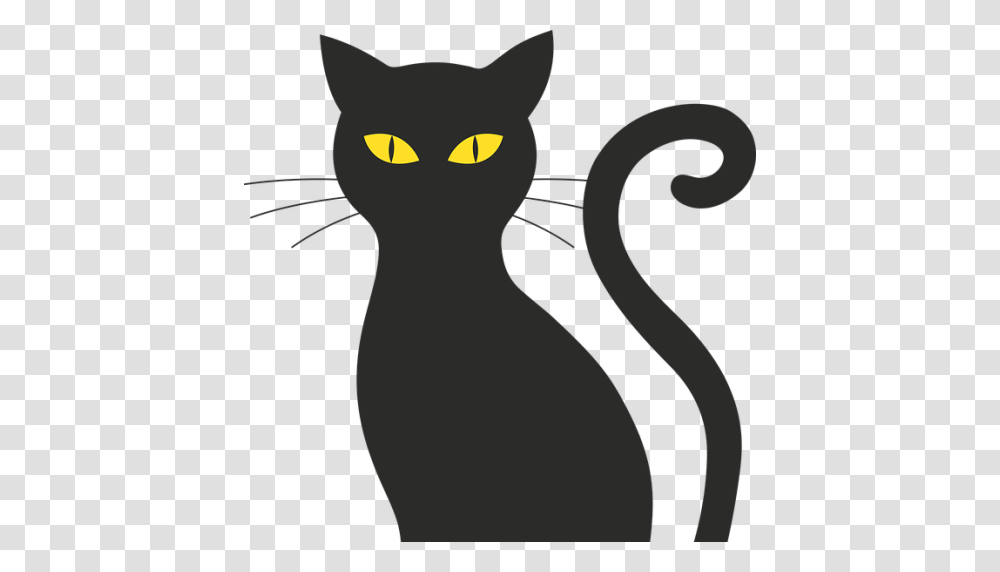 Cropped Black Cat Cat Care Hospital, Pet, Mammal, Animal, Egyptian Cat Transparent Png