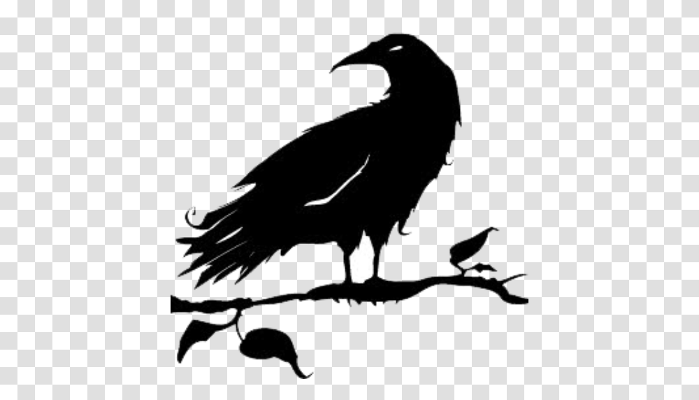 Cropped Black Crow The Black Crow Gallery, Bow, Bird, Animal, Eagle Transparent Png