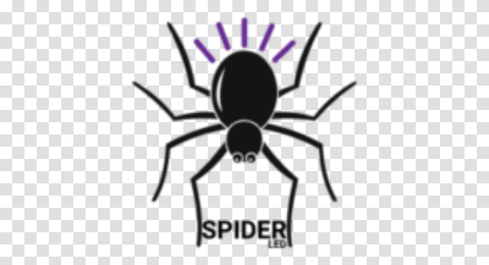 Cropped Black Spider Vuurwerk, Invertebrate, Animal, Arachnid, Insect Transparent Png