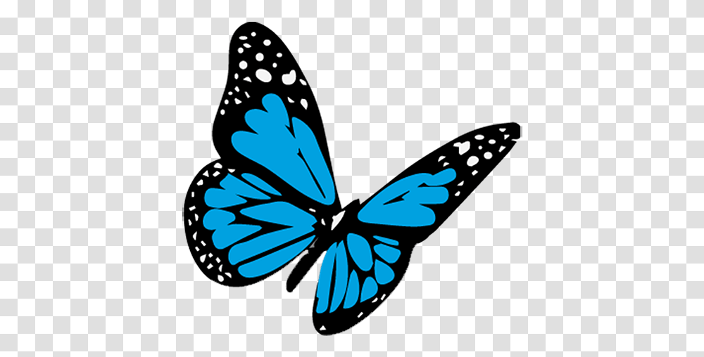 Cropped Butterflybluepng - Something Like Summer Salesforce Spring, Graphics, Art, Floral Design, Pattern Transparent Png