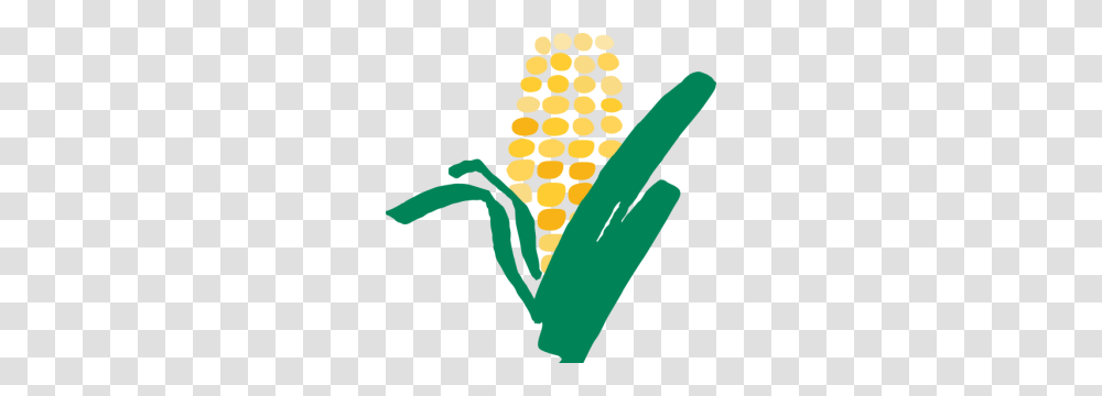 Cropped Corn, Plant, Vegetable, Food, Produce Transparent Png