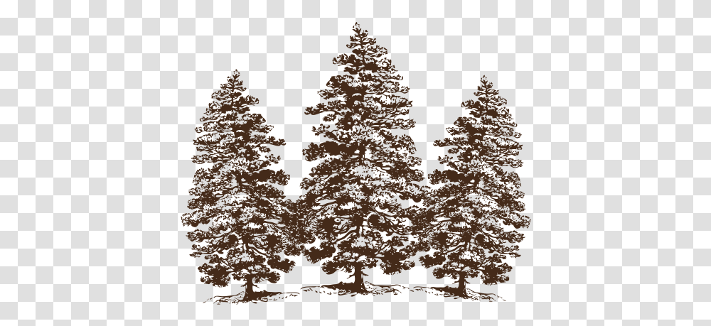 Cropped Cotticopng Cottagevloeren Pine Tree Clip Art, Plant, Text, Nature, Silhouette Transparent Png