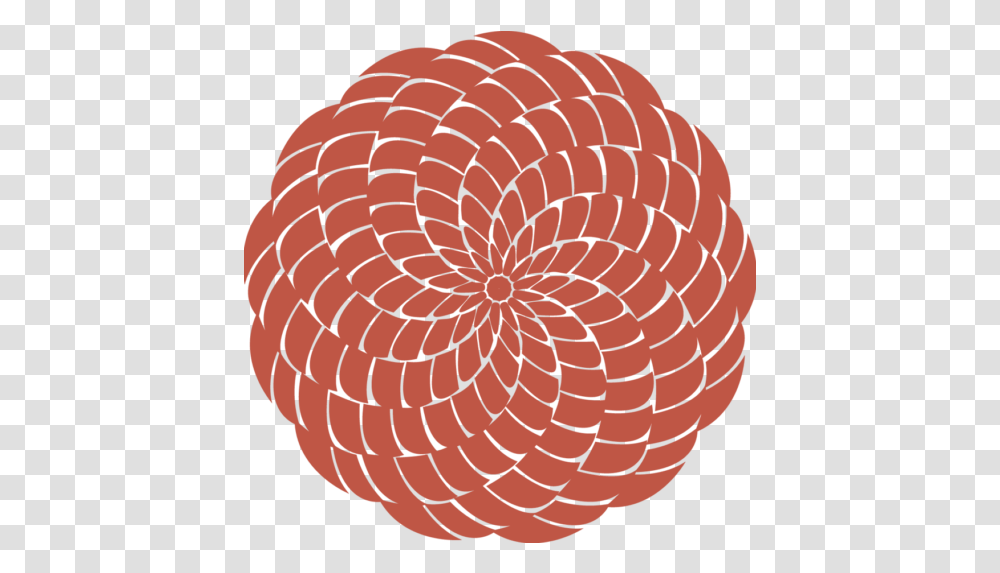 Cropped Decorative, Spiral, Coil, Fungus, Rotor Transparent Png